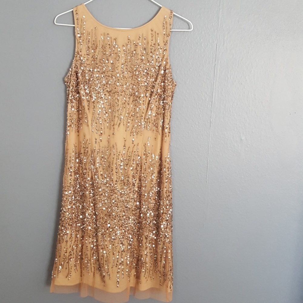 Adrianna Papell Formal Dress
